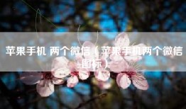 苹果手机 两个微信（苹果手机两个微信图标）