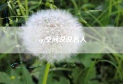 qq空间说说名人