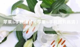 苹果4s手机图片（苹果4s手机图片高清）