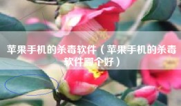 苹果手机的杀毒软件（苹果手机的杀毒软件哪个好）