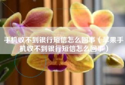 手机收不到银行短信怎么回事（苹果手机收不到银行短信怎么回事）