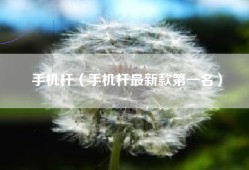 手机杆（手机杆最新款第一名）