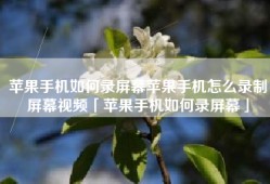 苹果手机如何录屏幕苹果手机怎么录制屏幕视频「苹果手机如何录屏幕」