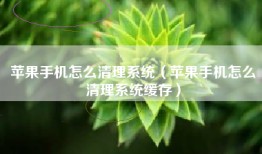 苹果手机怎么清理系统（苹果手机怎么清理系统缓存）