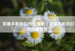 苹果手机的日历在哪里（苹果手机的日历在哪里找）