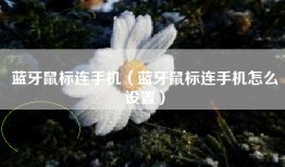 蓝牙鼠标连手机（蓝牙鼠标连手机怎么设置）