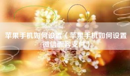 苹果手机如何设置（苹果手机如何设置微信面容支付）