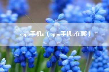 oppo手机u（oppo手机u在哪）