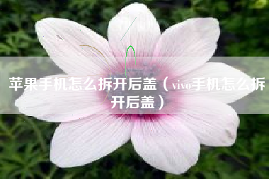 苹果手机怎么拆开后盖（vivo手机怎么拆开后盖）