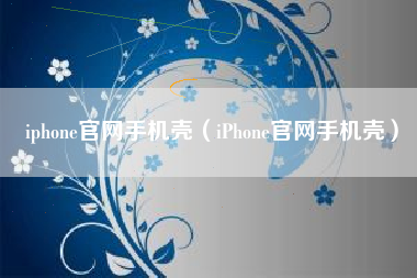 iphone官网手机壳（iPhone官网手机壳）