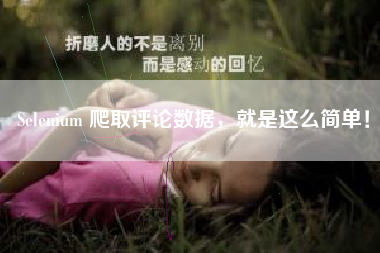 Selenium 爬取评论数据，就是这么简单！