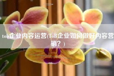 tob企业内容运营(ToB企业如何做好内容营销？)